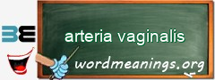 WordMeaning blackboard for arteria vaginalis
